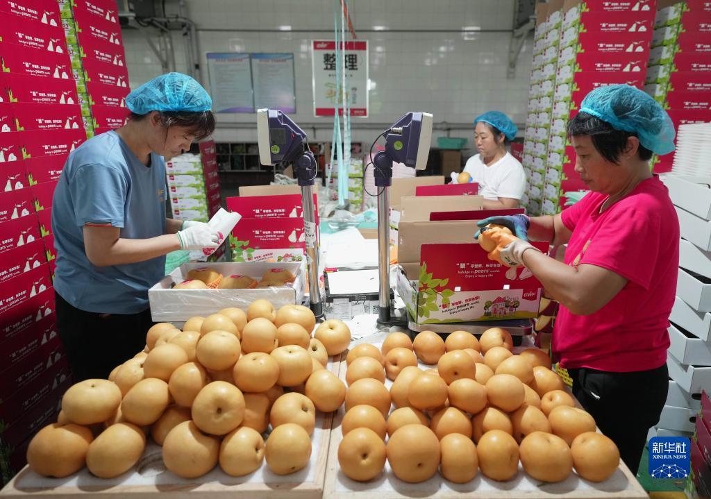 游戏网站平台大全